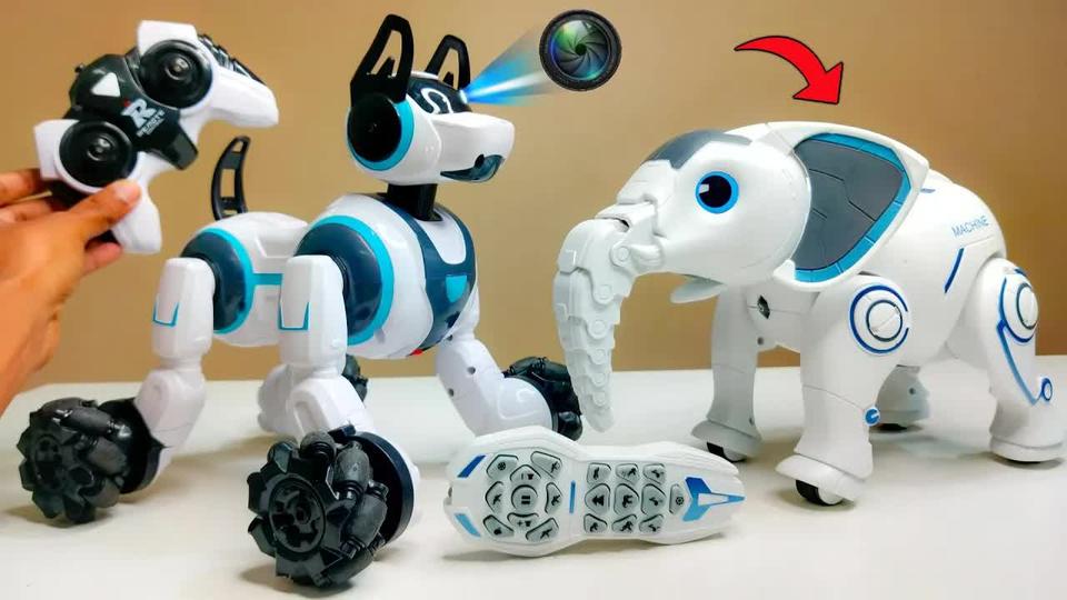 明星追踪官